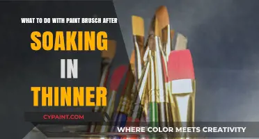 Reviving Your Paintbrushes: Post-Thinner Soak Care and Maintenance