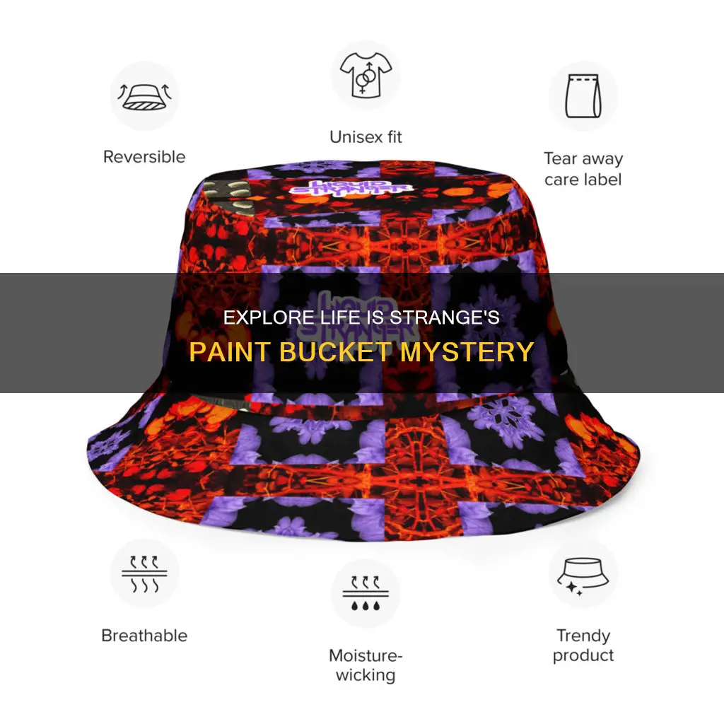 what to do with paint bucket life is strange