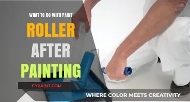 Post-Painting Cleanup: Effective Ways to Handle Your Paint Roller