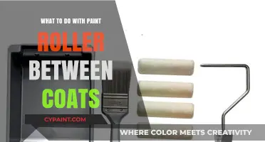 Efficient Paint Roller Storage Tips Between Coats for Perfect Results