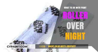 Overnight Paint Roller Care: Tips to Keep It Fresh and Ready