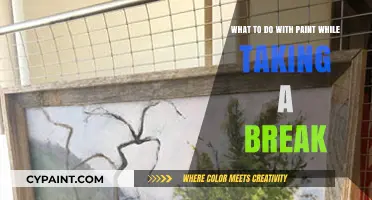 Preserving Paint: Mid-Project Pause Tips