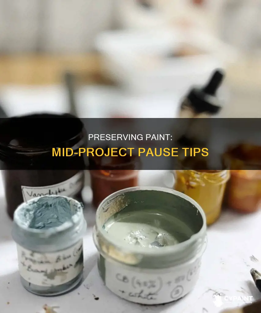 what to do with paint while taking a break