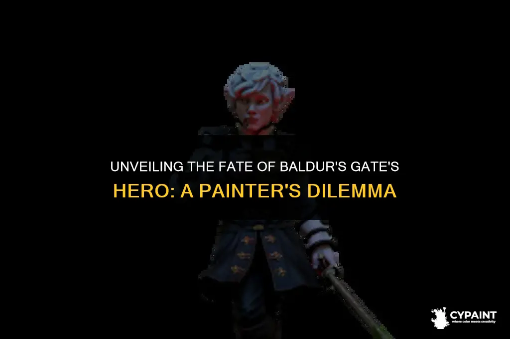 what to do with the hero of baldur