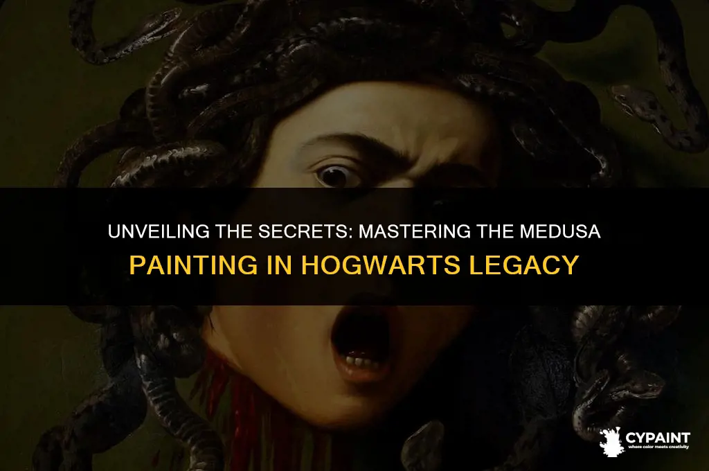 what to do with the medusa painting in hogwarts legacy