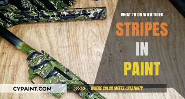 Tiger Stripes in Paint: Creative Fixes and Design Ideas