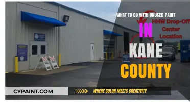 Properly Dispose of Unused Paint in Kane County