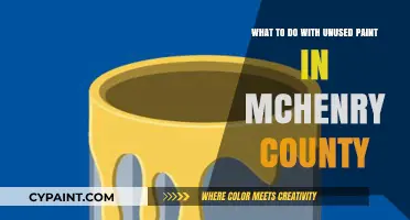 Proper Paint Disposal: McHenry County's Guide