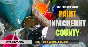 Eco-Friendly Paint Disposal Tips for McHenry County Residents