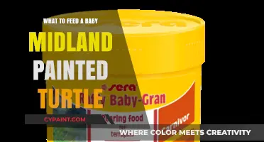 Nutritious Diet Guide for Your Baby Midland Painted Turtle