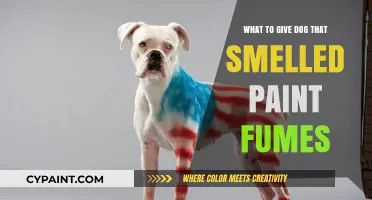 Helping Your Dog Recover After Inhaling Paint Fumes: Quick Tips