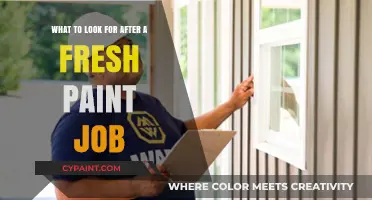 Fresh Paint Job: What to Inspect for Perfection