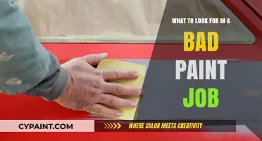 Spotting a Bad Paint Job: Signs to Look Out For