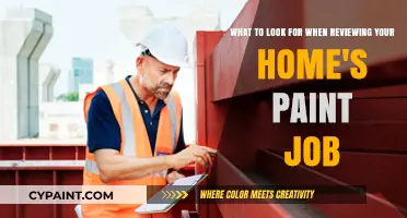 Expert Tips: Reviewing Your Home's Paint Job Like a Pro