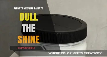 Easy Tricks to Tone Down Glossy Paint Shine
