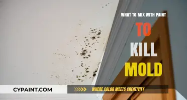 Effective Paint Additives to Prevent and Kill Mold Growth