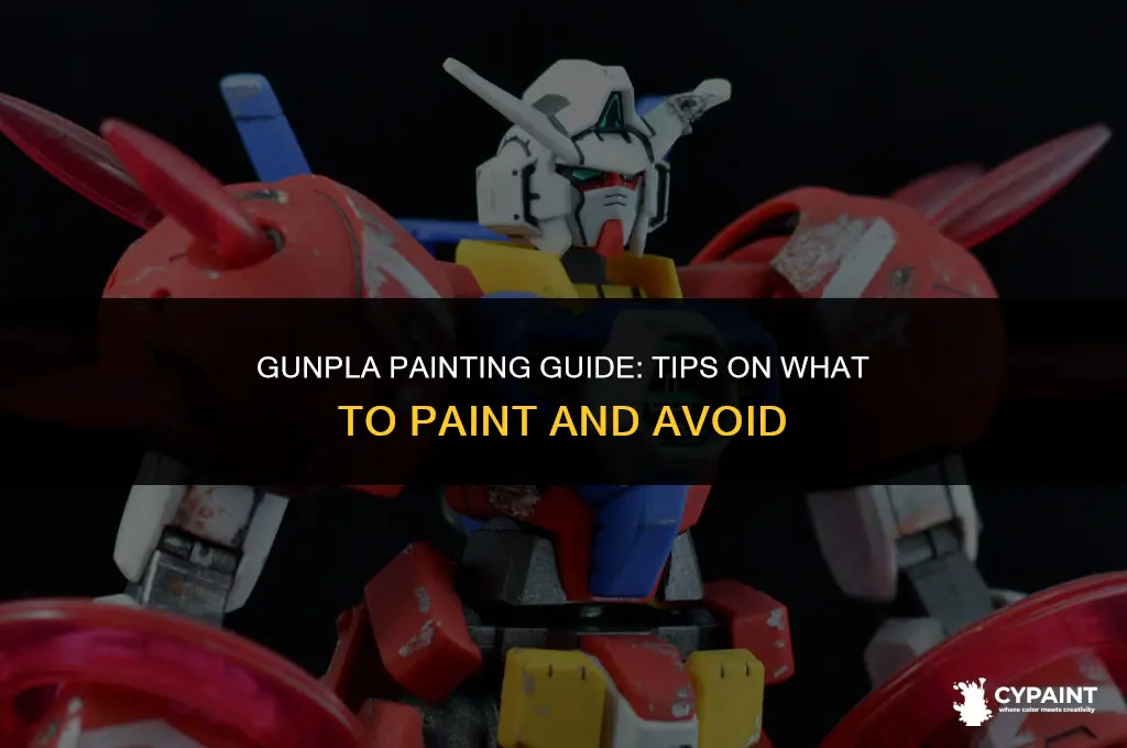 what to paint and what not to paint on gunpla