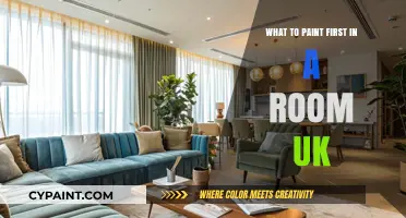 UK Room Painting Guide: Which Wall to Start With First
