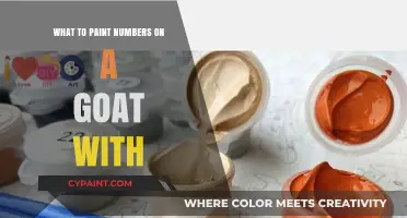 Creative Goat Numbering: Best Paints and Tools for Clear Identification