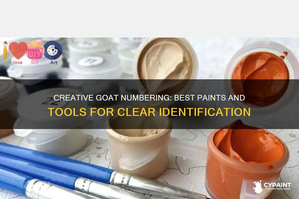 what to paint numbers on a goat with