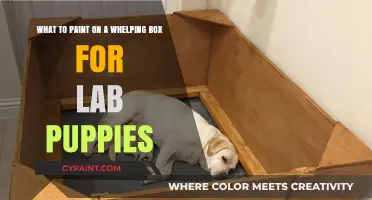 Creative Ideas for Painting a Whelping Box for Adorable Lab Puppies