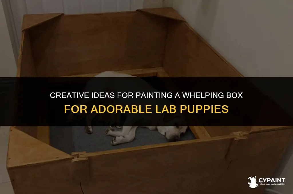 what to paint on a whelping box for lab puppies