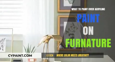 Revamp Your Furniture: Best Paint Options Over Acrylic Finishes