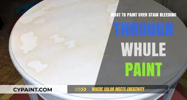 Preventing Stain Bleed While Painting: A Guide