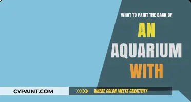 Aquarium Back Painting: Choosing the Right Paint