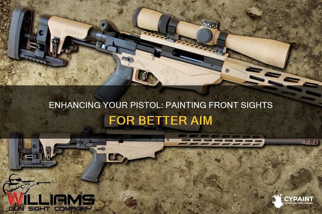 what to paint the front sights of my pistol