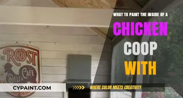 Choosing the Perfect Paint for Your Chicken Coop's Interior