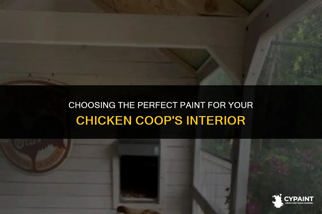 what to paint the inside of a chicken coop with