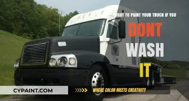 Low-Maintenance Truck Paint Colors: A Guide for the Busy Owner