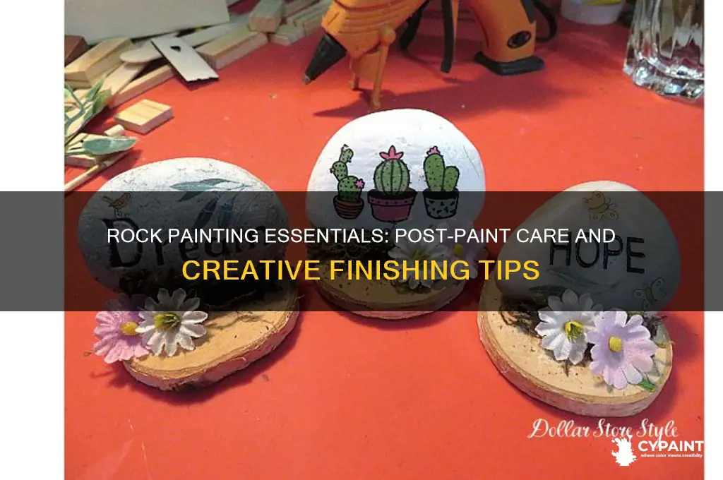 what to put after you paint a rock