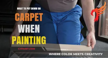Protect Your Carpet While Painting: Essential Tips and Materials to Use
