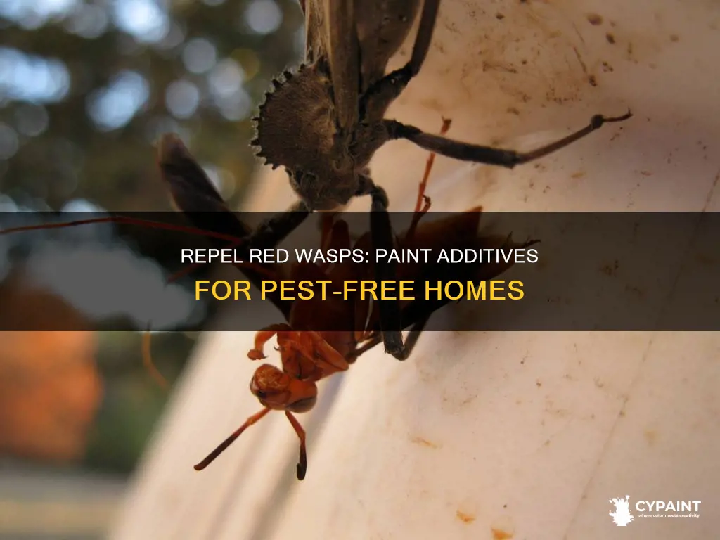 what to put in paint to repel red wasos