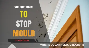 Prevent Mould Growth: Essential Additives for Mould-Resistant Paint Solutions