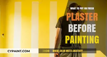 Prepping Fresh Plaster: Essential Steps Before Painting Your Walls