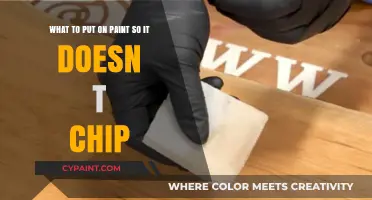 Protect Your Paint: Top Tips to Prevent Chipping