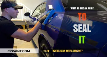Best Sealants to Protect and Preserve Your Painted Surfaces