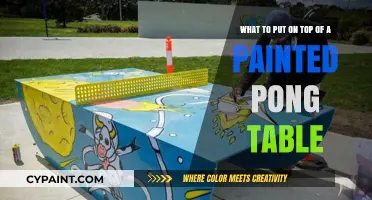Creative Touches: Unique Ideas for Your Painted Ping Pong Table