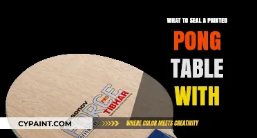 Best Sealants to Protect and Enhance Your Painted Ping Pong Table
