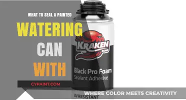 Protect Your Painted Watering Can: A Guide to Sealants