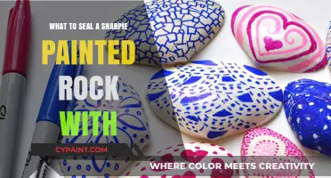 Best Sealants to Protect Your Sharpie Painted Rock Art