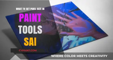Pixel Size Precision in Paint Tools Sai
