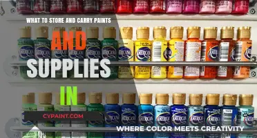 Storage and Transport: Paint Supplies