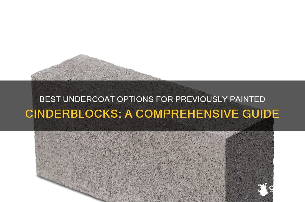 what to under coat on previous painted cinderblocks