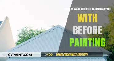 Washing Exterior Surfaces: Pre-Painting Prep
