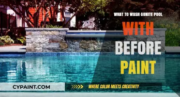 Best Gunite Pool Cleaning Methods Before Painting: A Comprehensive Guide
