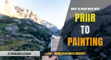 Prep Like a Pro: Essential Washing Tips Before Painting Your Walk